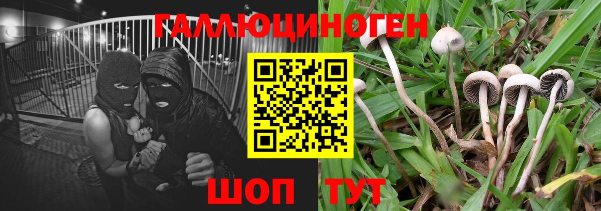 Волжск  Галлюциногенные грибы ЛСД  купить наркоту  Вход с VPN 